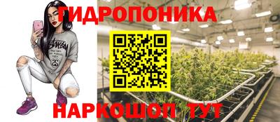 наркотики Новодвинск