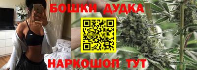 наркотики Новодвинск