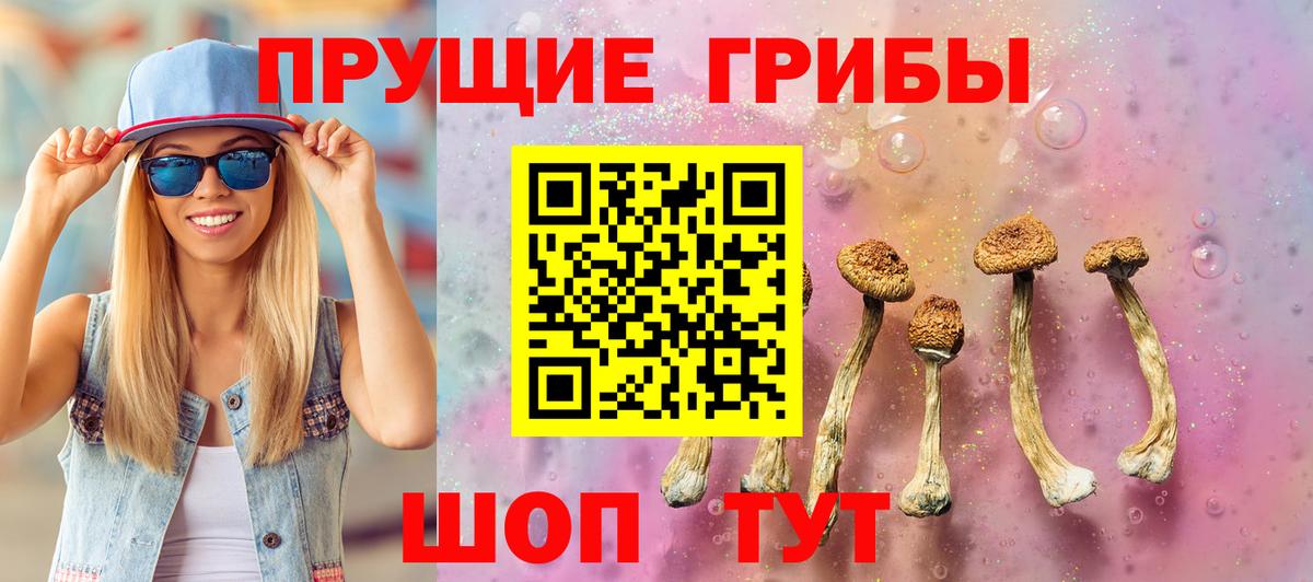Псилоцибиновые грибы ЛСД Сертолово
